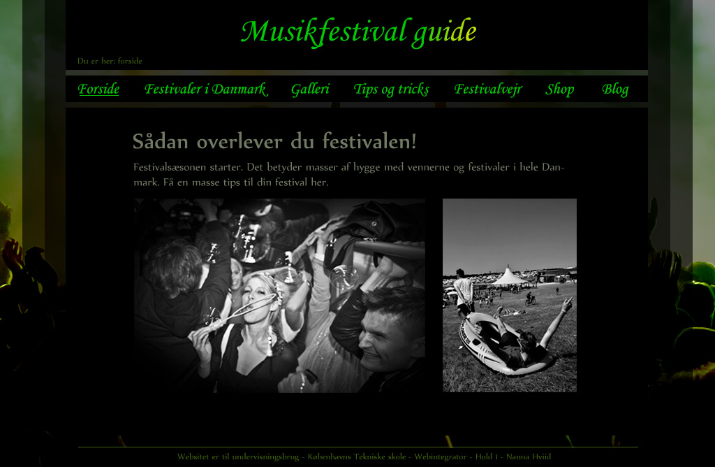 Festivalsguide website